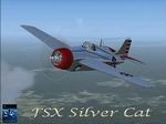 FSX
                  F-4F Wildcat Silver Cat.